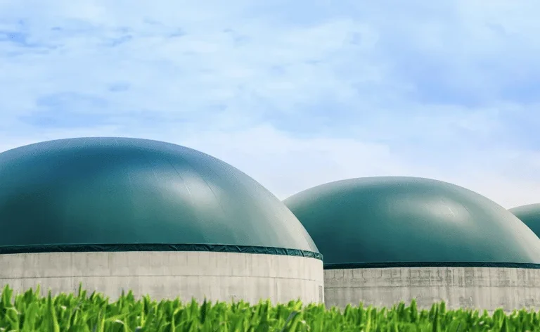 biogas-molina(13) biogas-molina(13)